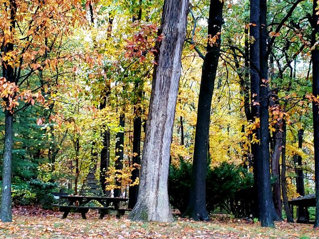 Photo of Pennsylvania State University-Penn State York