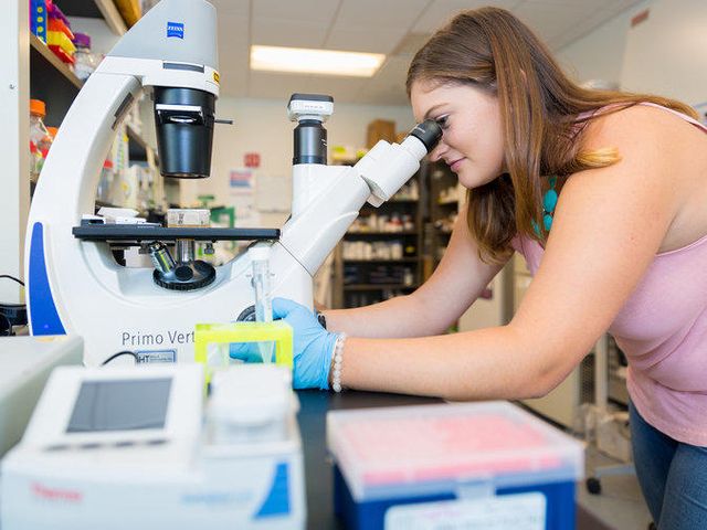 Photo of Pennsylvania State University-Penn State Brandywine