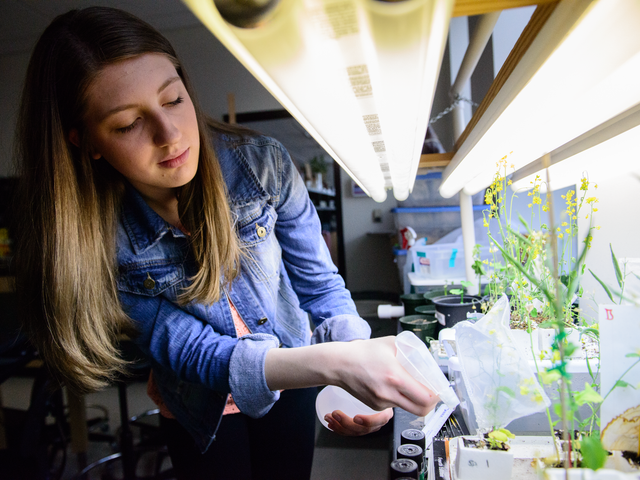 Photo of Pennsylvania State University-Penn State Scranton