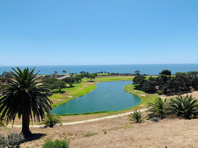 Photo of Pepperdine University