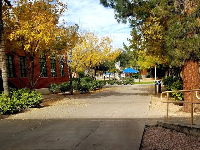 Photo of Phoenix College