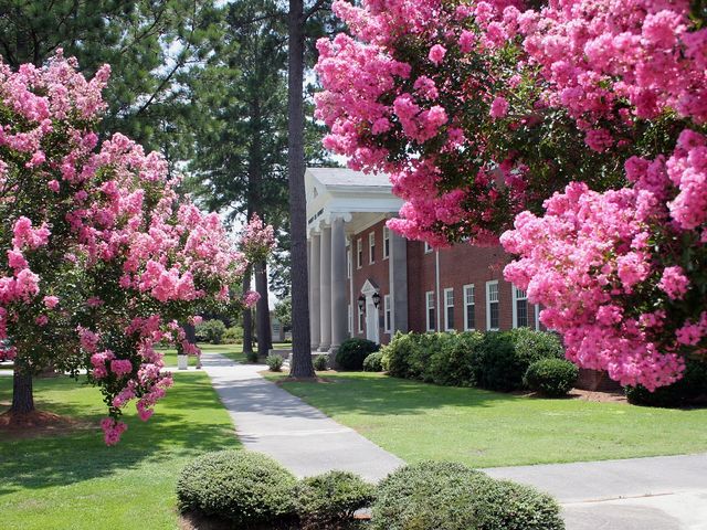 Photo of Pitt Community College