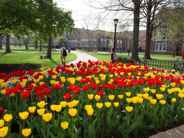 Photo of Pittsburg State University