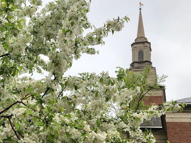 Photo of Pittsburgh Theological Seminary