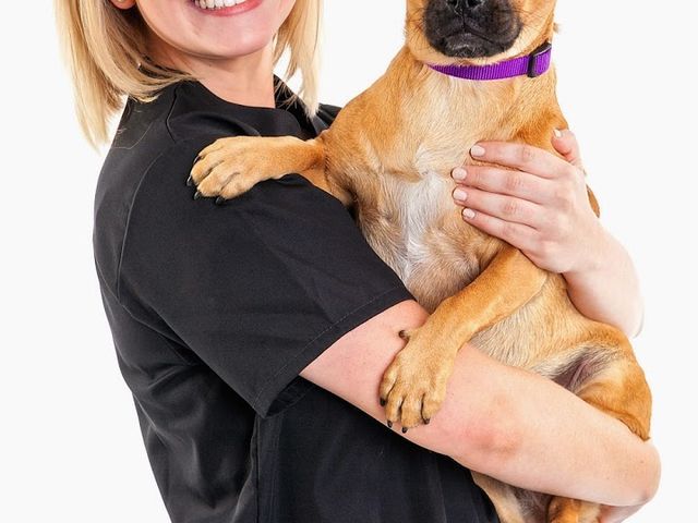 Photo of Pittsburgh Career Institute