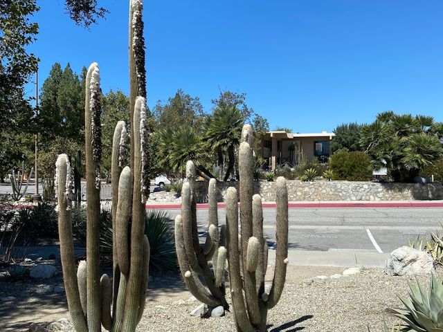 Photo of Pitzer College