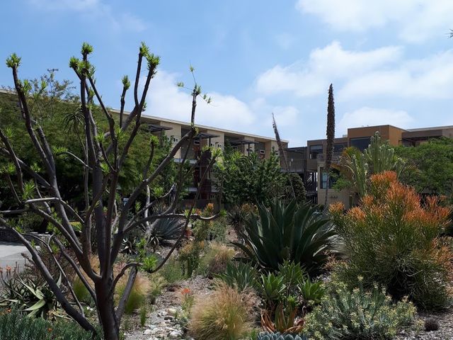 Photo of Pitzer College