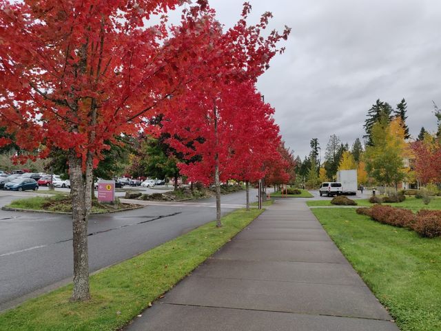 Photo of Pierce College-Puyallup