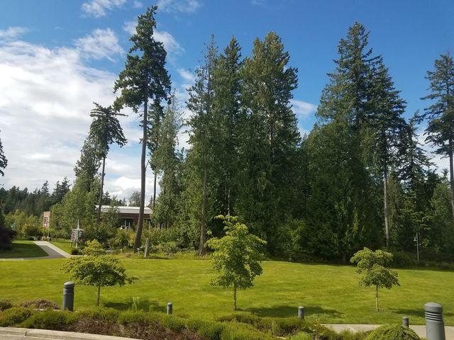 Photo of Pierce College-Puyallup