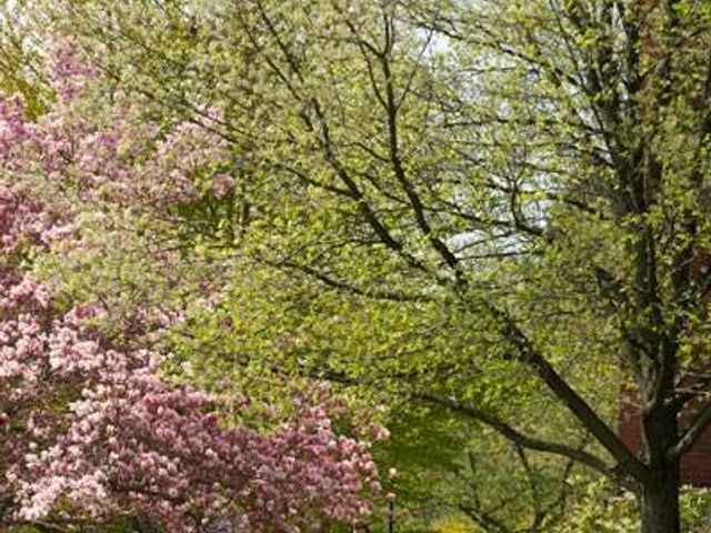 Photo of Plymouth State University