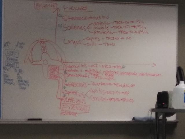 Photo of Platt College-McCann-Allentown