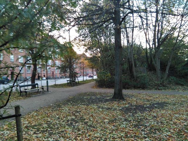 Photo of Playground At The Lergravspark