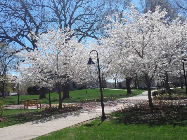 Photo of Providence College