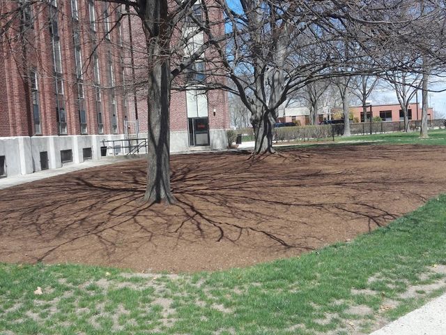 Photo of Providence College