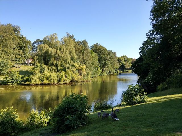 Photo of Bemandet legeplads i Ørstedsparken ved Nørre Farimagsgade