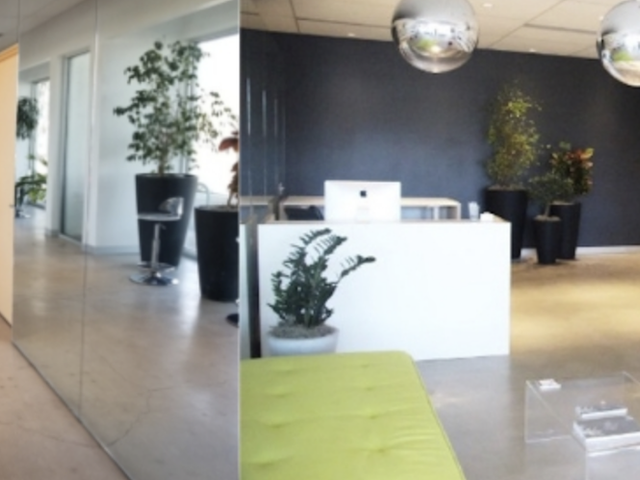 Photo of Pure Aesthetics Natural Skincare School