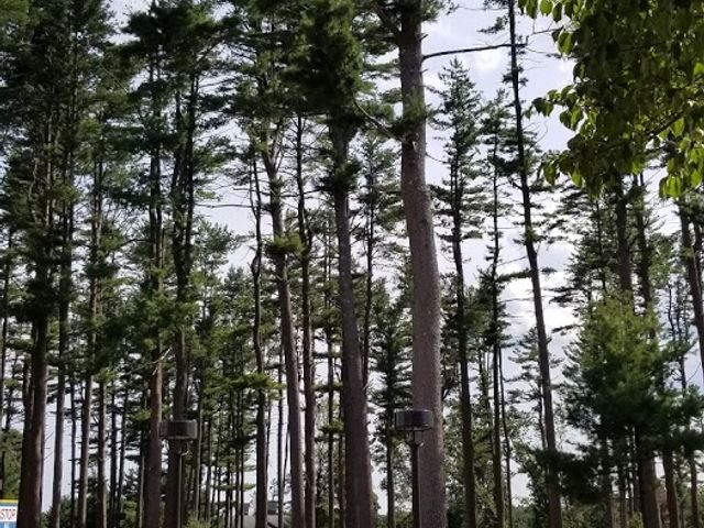 Photo of Quinnipiac University