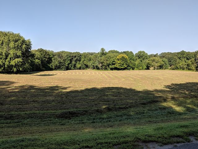 Photo of Quinnipiac University