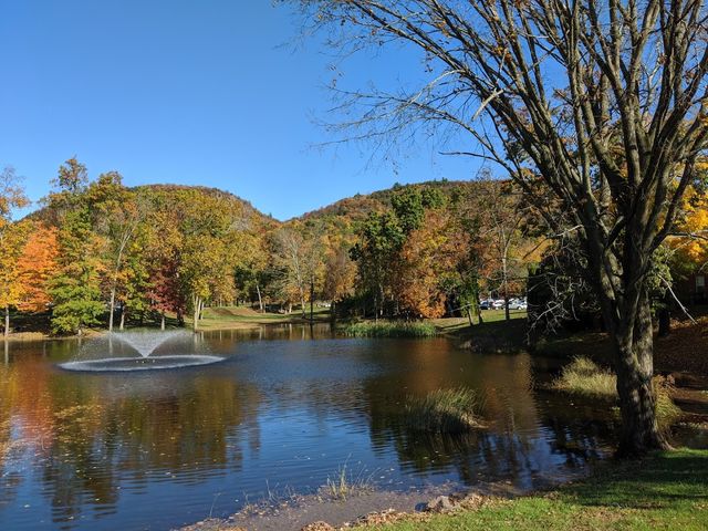 Photo of Quinnipiac University