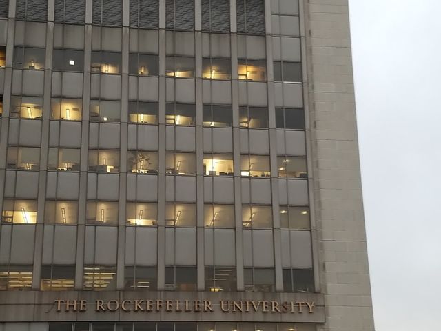 Photo of Rockefeller University