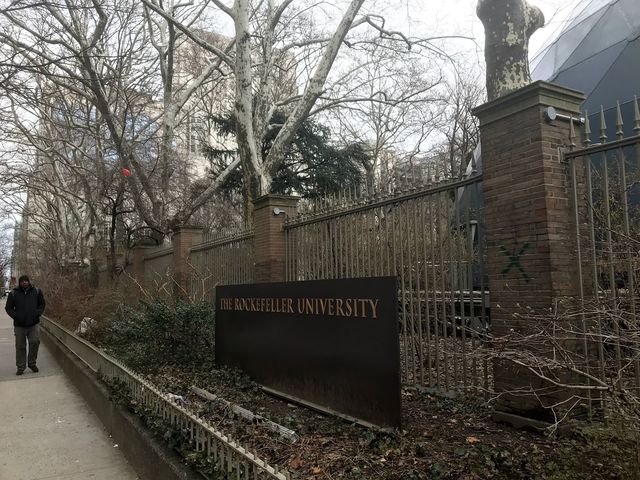 Photo of Rockefeller University