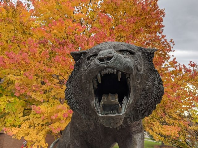 Photo of Rochester Institute of Technology
