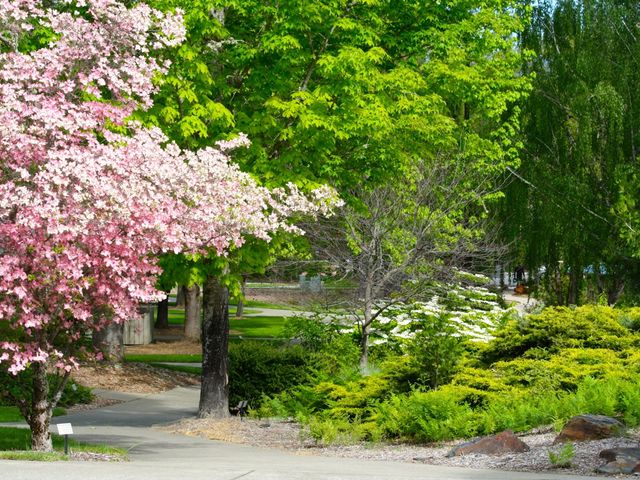 Photo of Rogue Community College