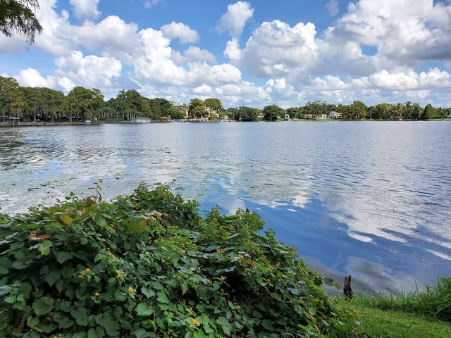 Photo of Rollins College