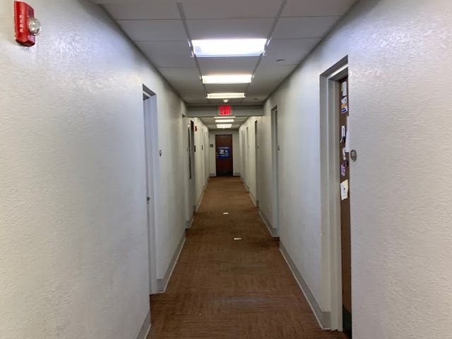 Photo of Rollins College