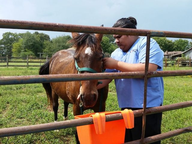 Photo of Ross Medical Education Center-Huntsville
