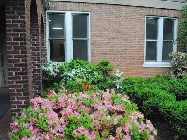 Photo of Randolph College