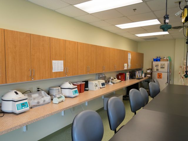 Photo of Rasmussen College-Minnesota