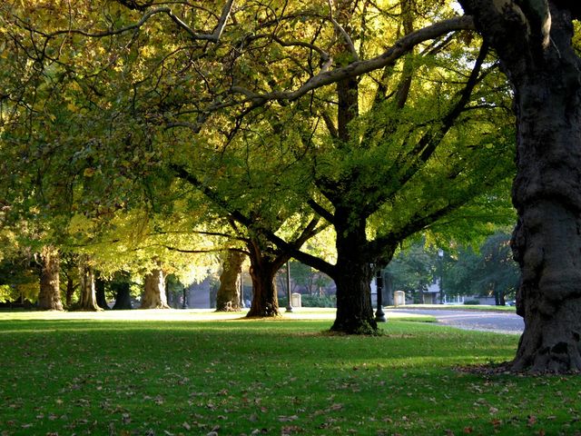 Photo of Reed College