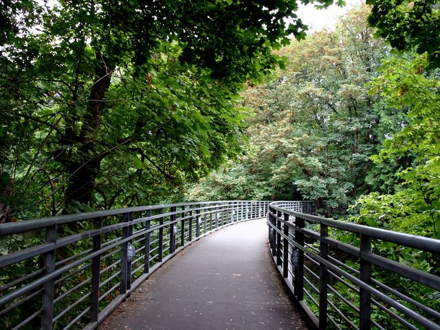 Photo of Reed College