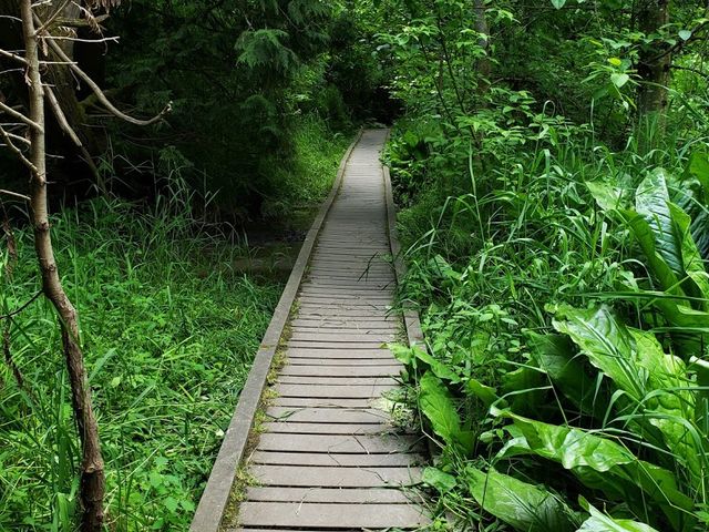 Photo of Reed College