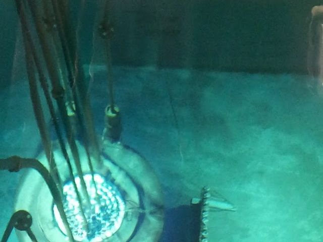 Photo of Reed College