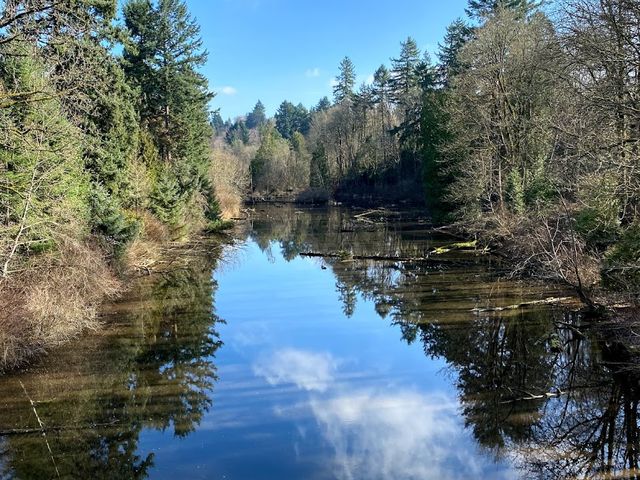 Photo of Reed College