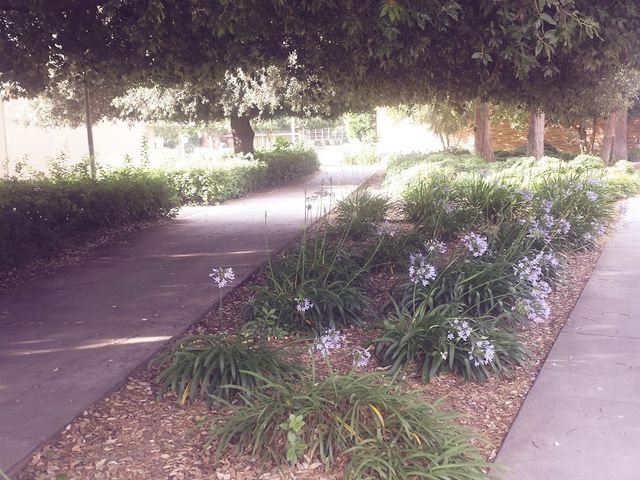 Photo of Reedley College