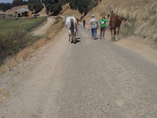 Photo of Reedley College