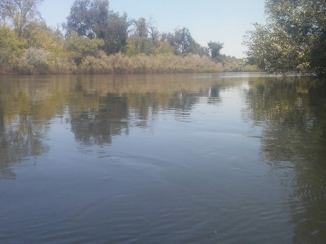 Photo of Reedley College