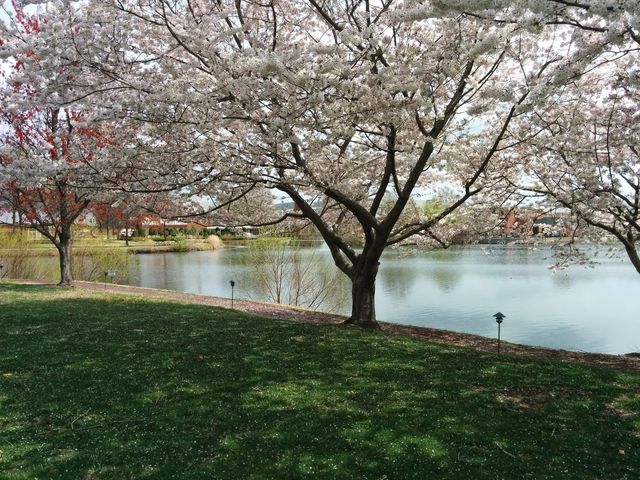 Photo of Regent University