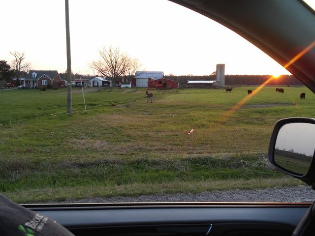 Photo of Richard Bland College