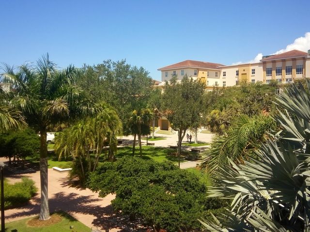 Photo of Ringling College of Art and Design