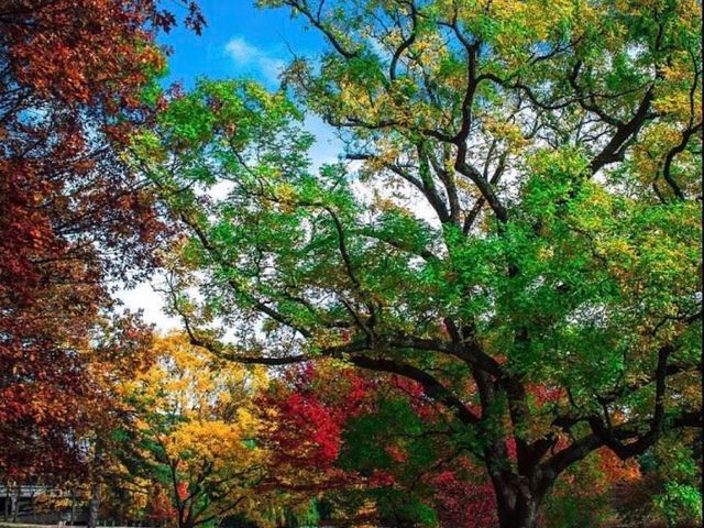 Photo of Rutgers University-New Brunswick