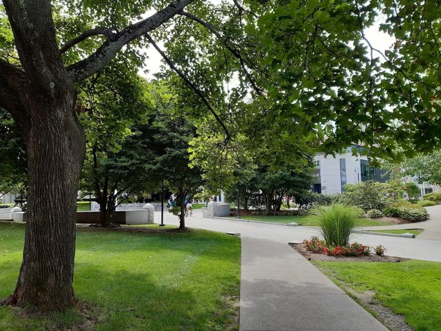 Photo of Worcester Polytechnic Institute