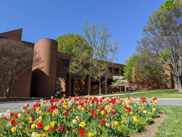 Photo of Wake Forest University