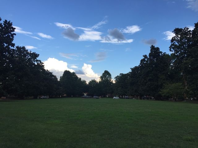 Photo of Wake Forest University