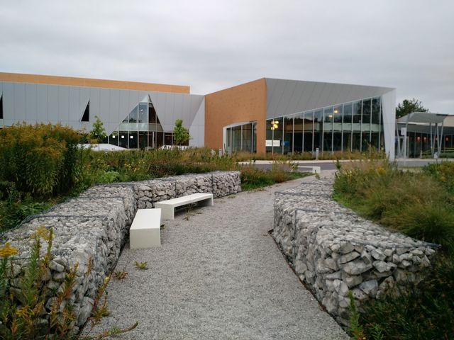 Photo of Walsh College