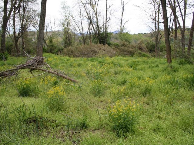 Photo of Warren Wilson College