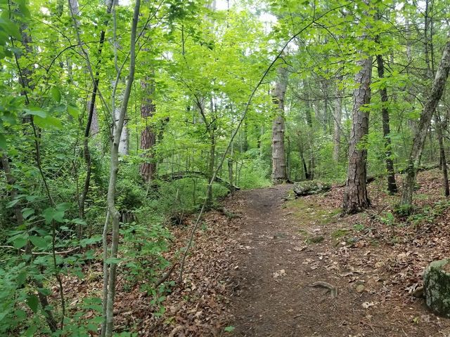 Photo of Warren Wilson College